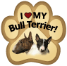 Bull Terrier thumbnail