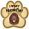 Newfie thumbnail