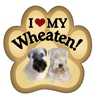 Wheaten thumbnail