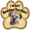 Border Terrier thumbnail