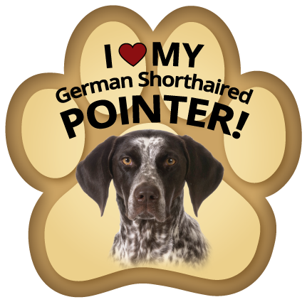 German Shorthaired Pointer thumbnail