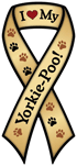 Yorkie-Poo thumbnail