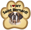 Saint Bernard thumbnail