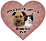 Open your heart to a homeless pet! thumbnail