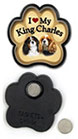 Cavalier King Charles thumbnail