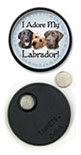 I Adore my Labrador! thumbnail