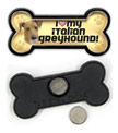 Italian Greyhound thumbnail