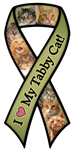 Tabby Cat thumbnail