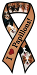 Papillon thumbnail