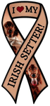 Irish Setter thumbnail