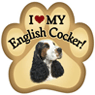 English Cocker 1 thumbnail