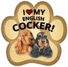 English Cocker 2 thumbnail