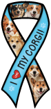 Corgi thumbnail