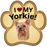 Yorkie thumbnail