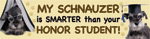 Schnauzer/Honor Student thumbnail