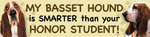 Basset/Honor Student thumbnail