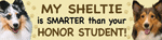 Sheltie/Honor Student thumbnail
