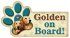Golden on Board! thumbnail