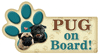 Pug on Board! thumbnail