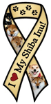 Shiba Inu thumbnail