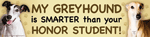 Greyhound/Honor Student thumbnail