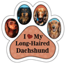 Dachshund (Long-Haired) thumbnail