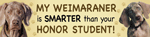 Weimaraner/Honor Student thumbnail