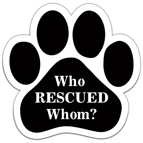 Who Rescued Whom? thumbnail