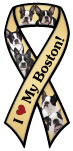 Boston Terrier thumbnail