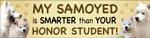 Samoyed/Honor Student thumbnail