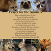 Prayer for the Animals (wild) thumbnail