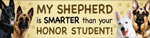 German Shepherd/Honor Student thumbnail