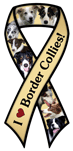Border Collies thumbnail