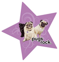 Pugs Rock thumbnail