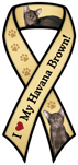 Havana Brown thumbnail