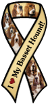 Basset Hound thumbnail