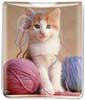 Kitten with Yarn thumbnail