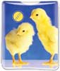 Baby Chicks thumbnail