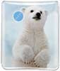 Baby Polar Bear thumbnail