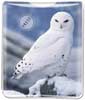 Snowy Owl thumbnail