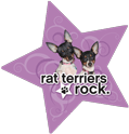 Rat Terriers Rock thumbnail