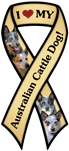 Australian Cattle Dog thumbnail