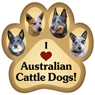 Australian Cattle Dog thumbnail