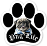 Pug Life thumbnail