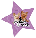 Yorkies Rock thumbnail