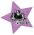 Berners Rock thumbnail