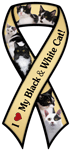 Cat (black and white) thumbnail
