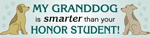 Granddog/Honor Student thumbnail