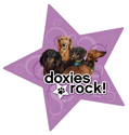 Doxies Rock thumbnail