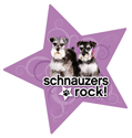 Schnauzers Rock thumbnail
